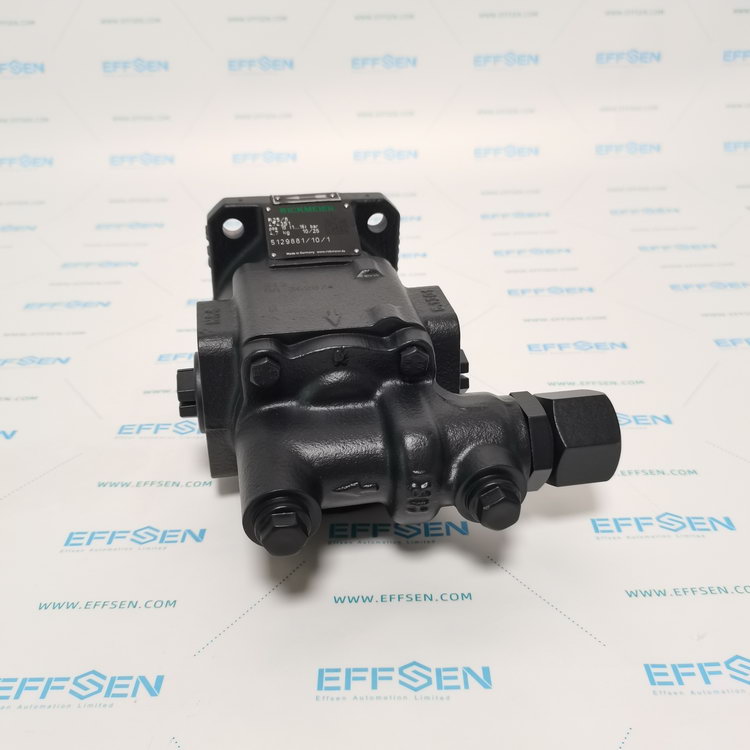 Rickmeier R25/8 FL-Z-DB16-W-G3/4-R-P Gear Pumps