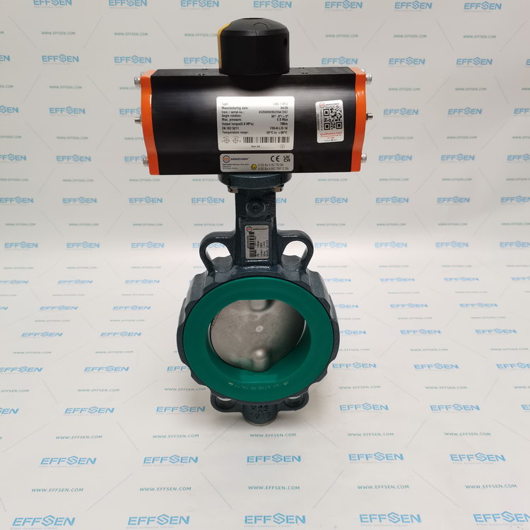EBRO Z011-A DN100+EB5.1SYD Butterfly valve